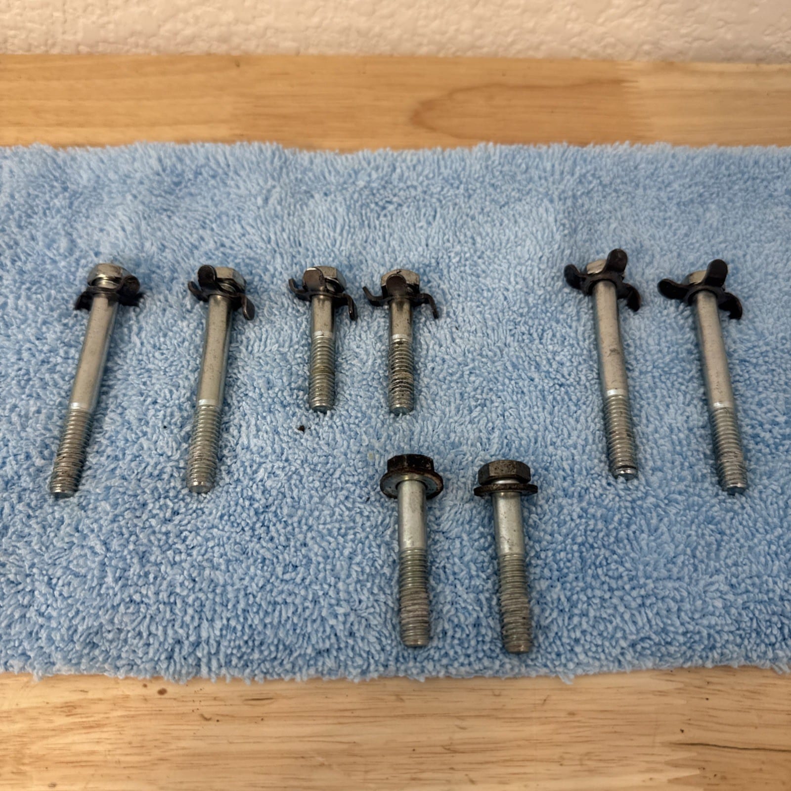 00-06 2000 2006 Harley Davidson Inner Primary Clutch Cover Bolts Oem