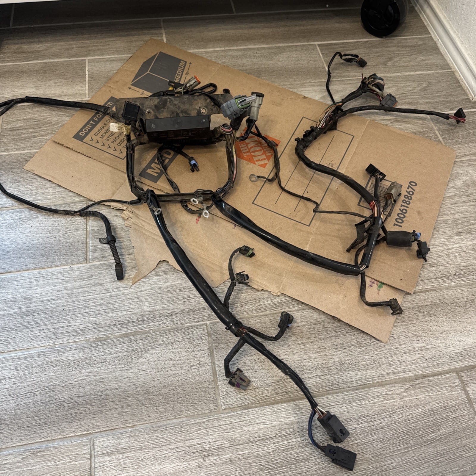 00-06 Harley-Davidson Softail FXST MAIN Engine Wiring Harness Motor WIRE LOOM